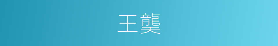 王龑的同义词