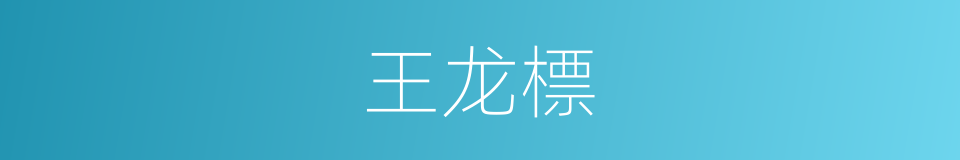 王龙標的同義詞