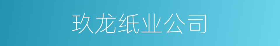 玖龙纸业公司的同义词