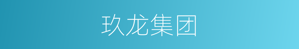 玖龙集团的同义词