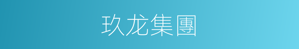 玖龙集團的同義詞
