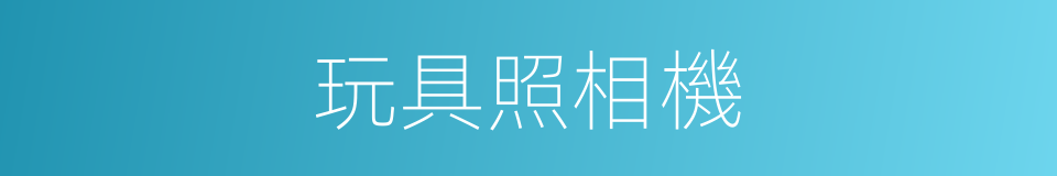 玩具照相機的同義詞