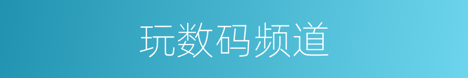 玩数码频道的同义词