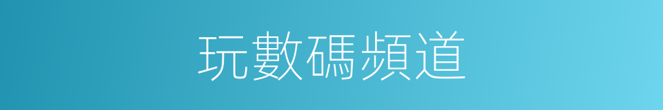 玩數碼頻道的同義詞
