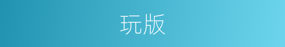 玩版的同义词