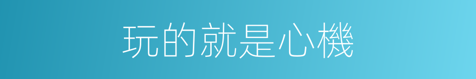 玩的就是心機的同義詞