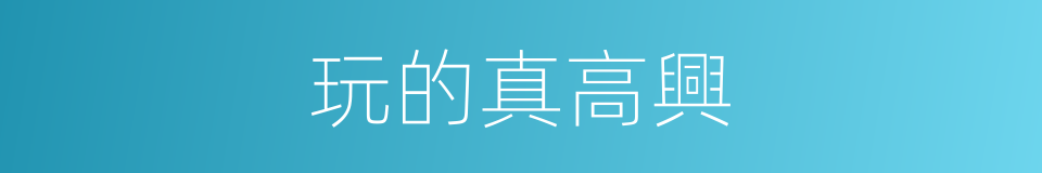 玩的真高興的同義詞