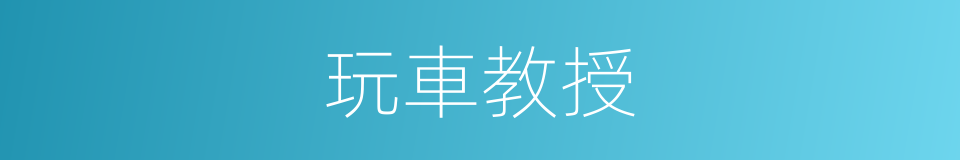 玩車教授的同義詞