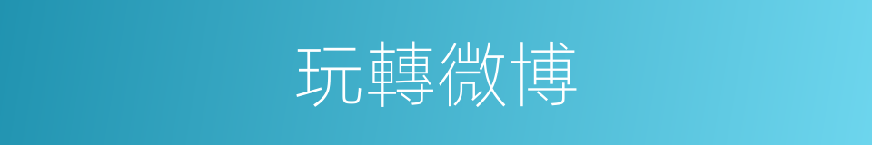 玩轉微博的同義詞