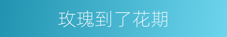 玫瑰到了花期的同义词