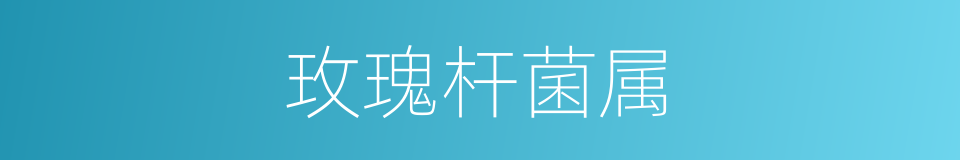 玫瑰杆菌属的同义词