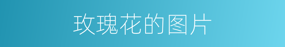 玫瑰花的图片的同义词