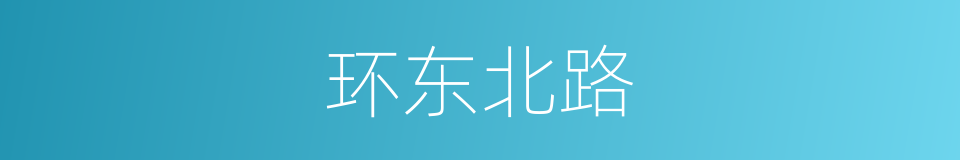 环东北路的同义词