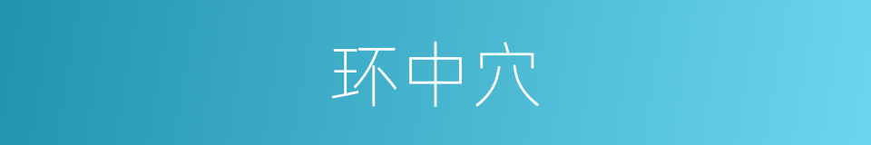 环中穴的同义词