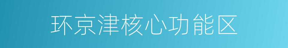 环京津核心功能区的同义词