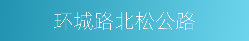 环城路北松公路的同义词