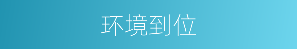 环境到位的同义词