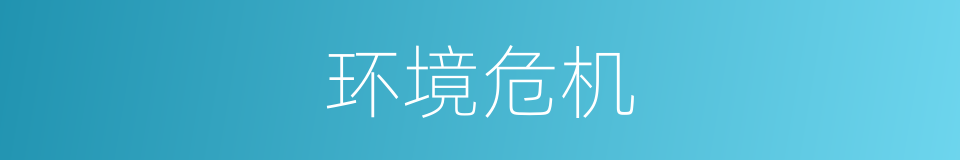 环境危机的同义词