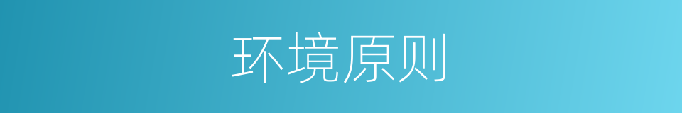 环境原则的同义词