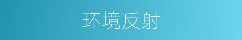 环境反射的同义词