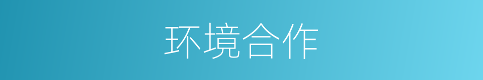 环境合作的同义词
