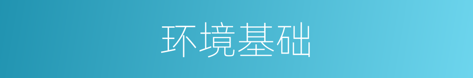 环境基础的意思