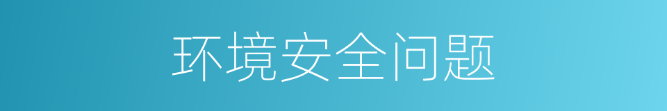 环境安全问题的同义词