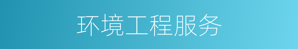 环境工程服务的同义词
