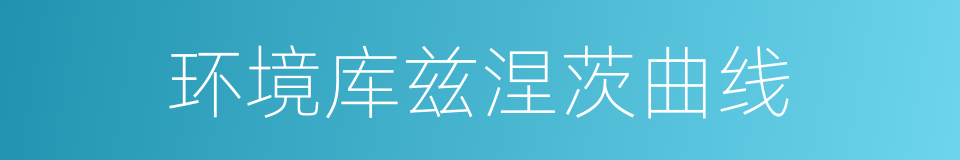 环境库兹涅茨曲线的同义词