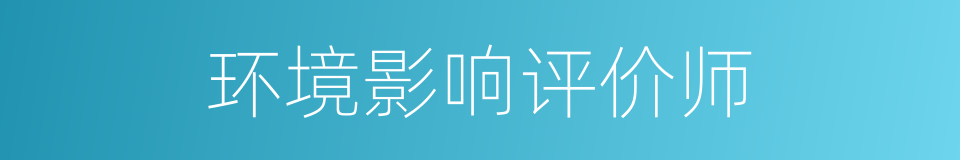 环境影响评价师的同义词