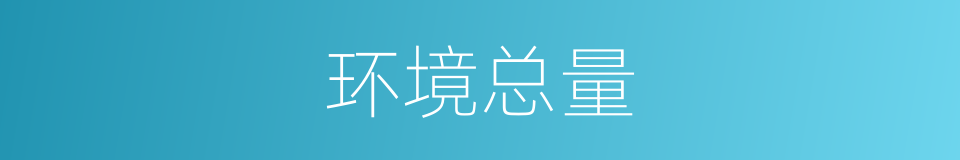 环境总量的同义词