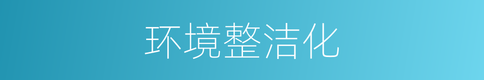 环境整洁化的同义词