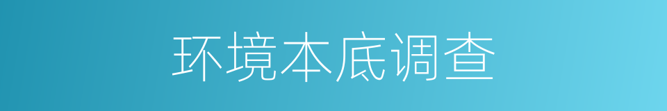环境本底调查的同义词