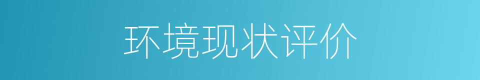 环境现状评价的同义词