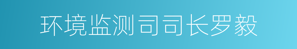 环境监测司司长罗毅的同义词