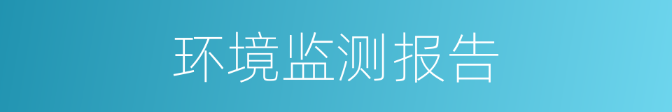 环境监测报告的同义词