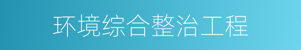 环境综合整治工程的同义词