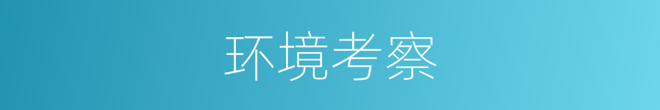 环境考察的同义词