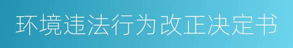 环境违法行为改正决定书的同义词