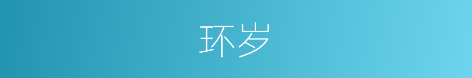 环岁的意思