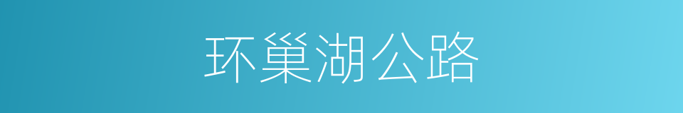环巢湖公路的同义词