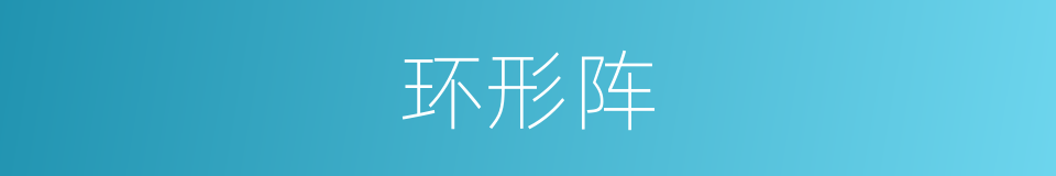 环形阵的同义词