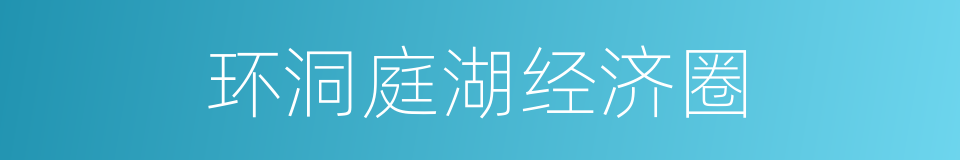 环洞庭湖经济圈的同义词