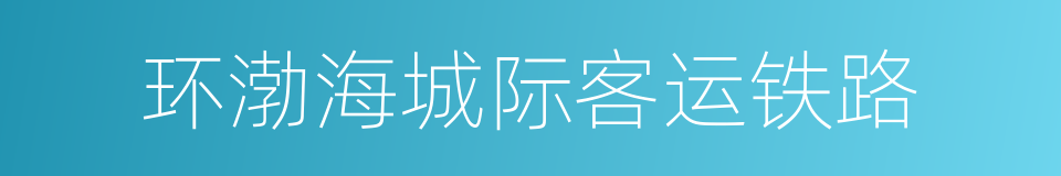 环渤海城际客运铁路的同义词