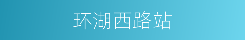 环湖西路站的同义词
