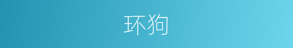 环狗的意思