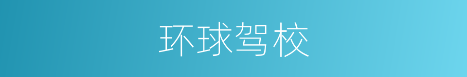 环球驾校的同义词