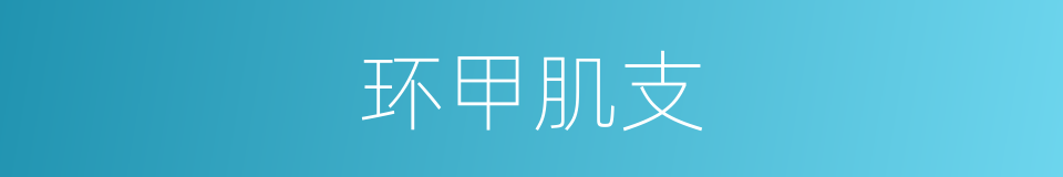 环甲肌支的同义词