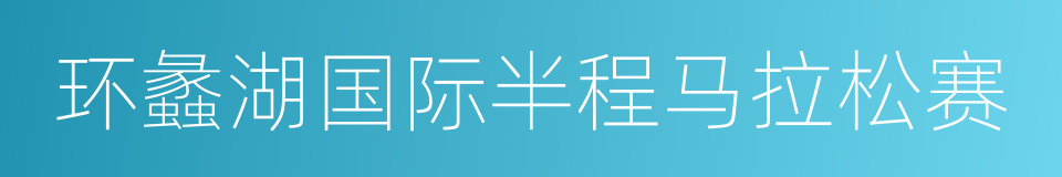 环蠡湖国际半程马拉松赛的同义词