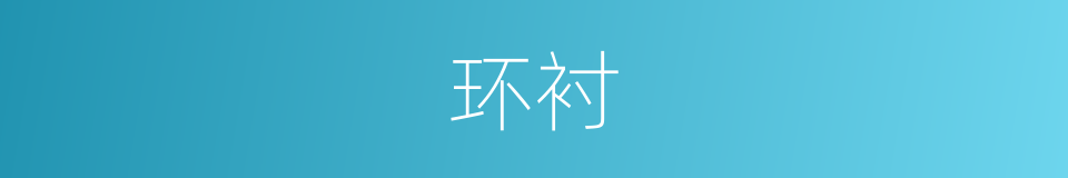 环衬的意思